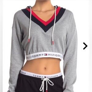 Tommy Hilfiger X Urban Outfitters Retro Gray V-Neck Crop Hoodie